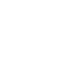 custom_website